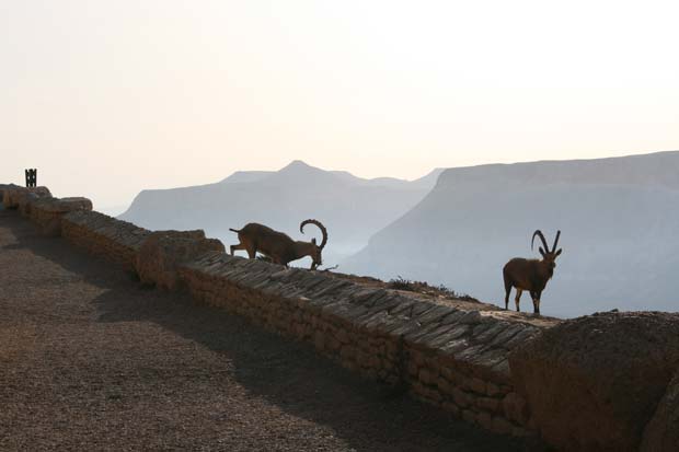 Your Ultimate Guide to CM to Feet Conversion Tools